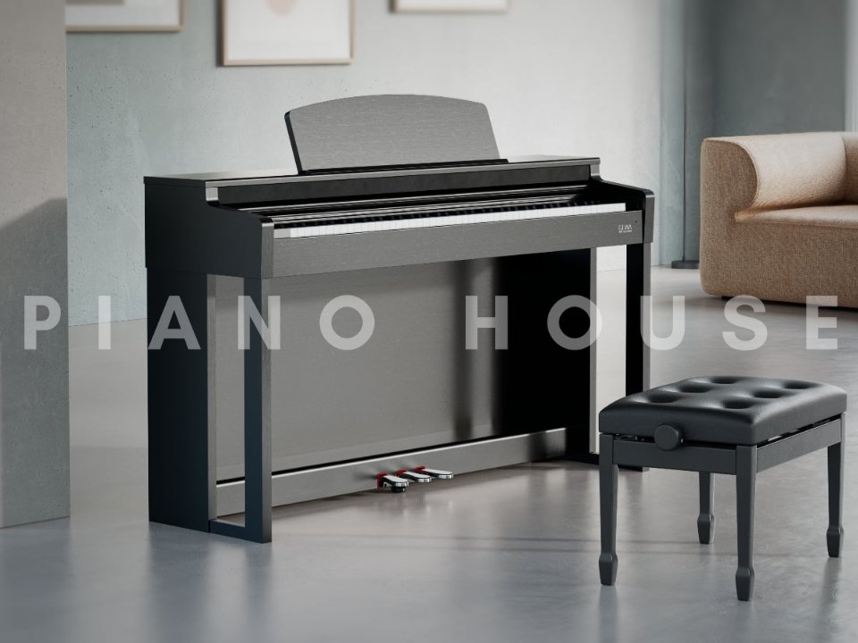 Gewa Digital Piano